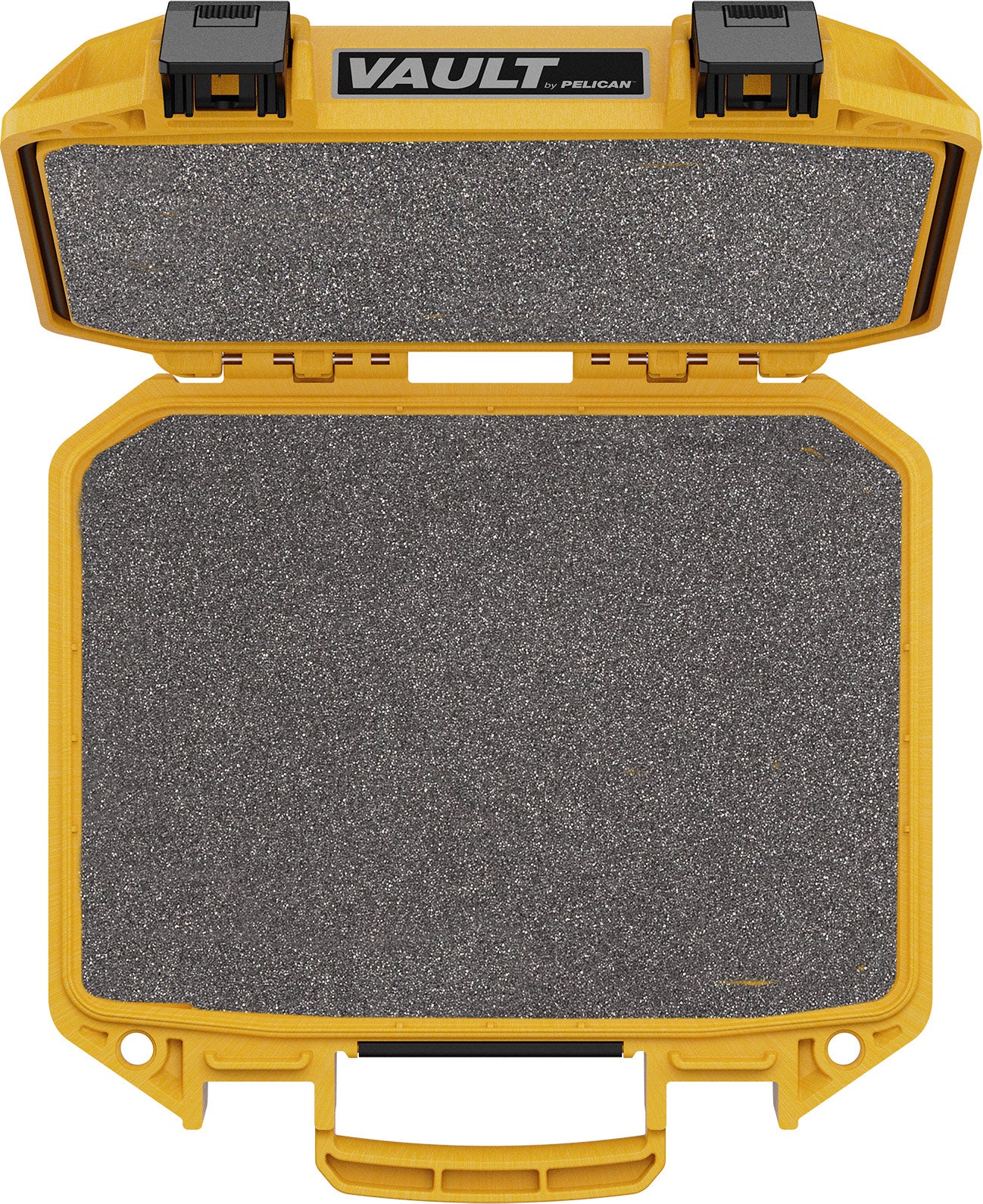V100C Vault Equipment Case