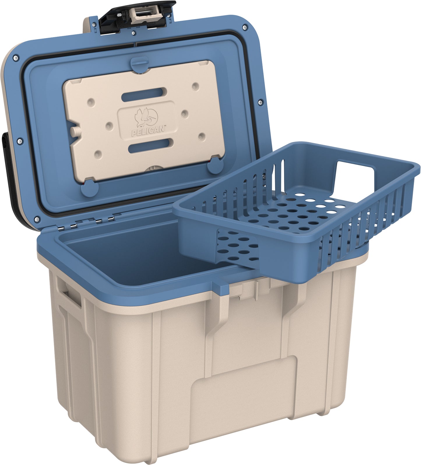 8QT  Personal Cooler