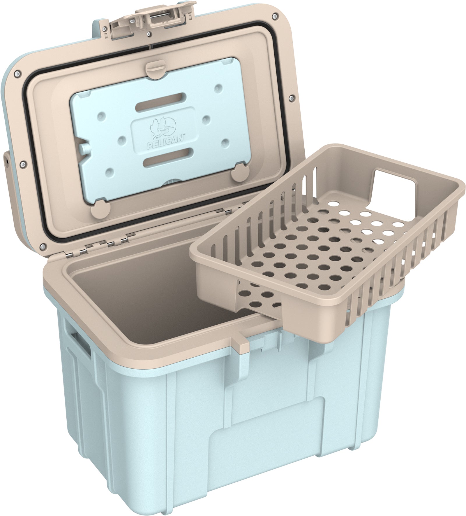 8QT  Personal Cooler