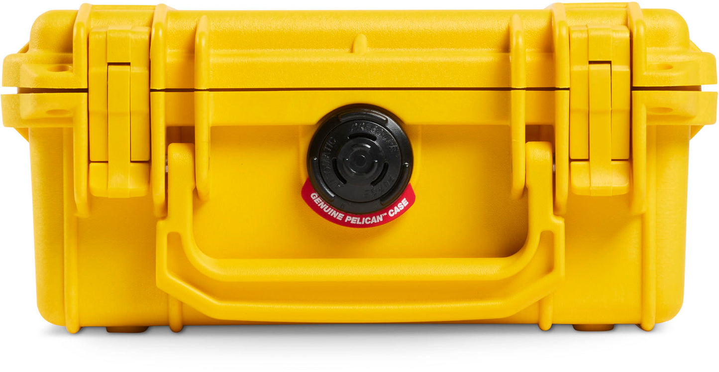 1120 Protector Case