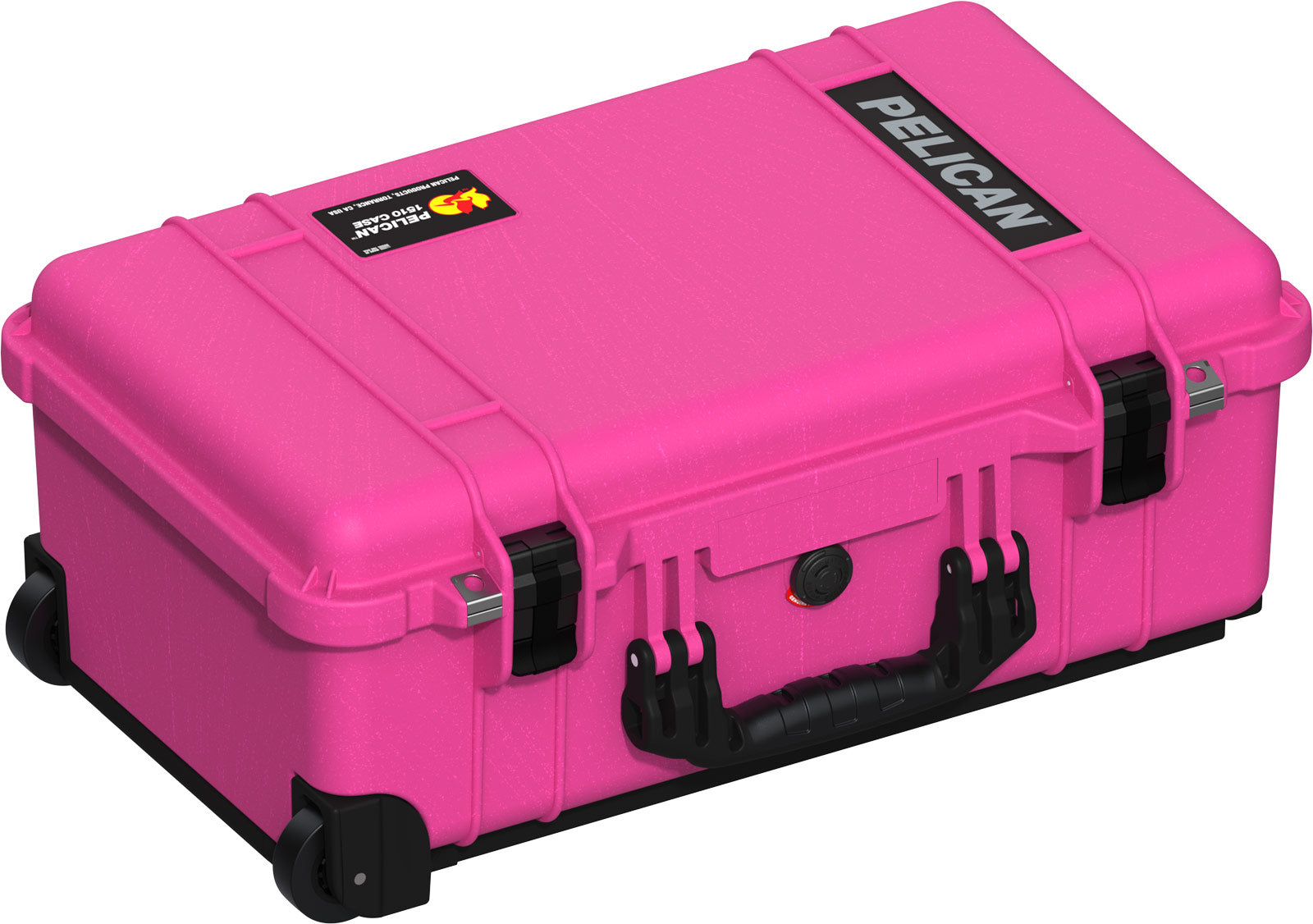 1510P Protector Case