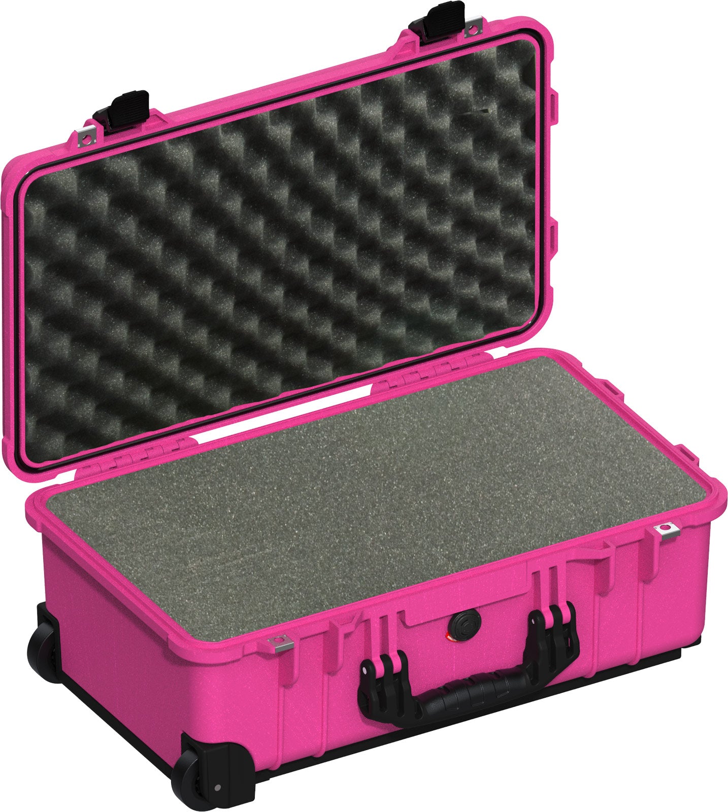1510P Protector Case