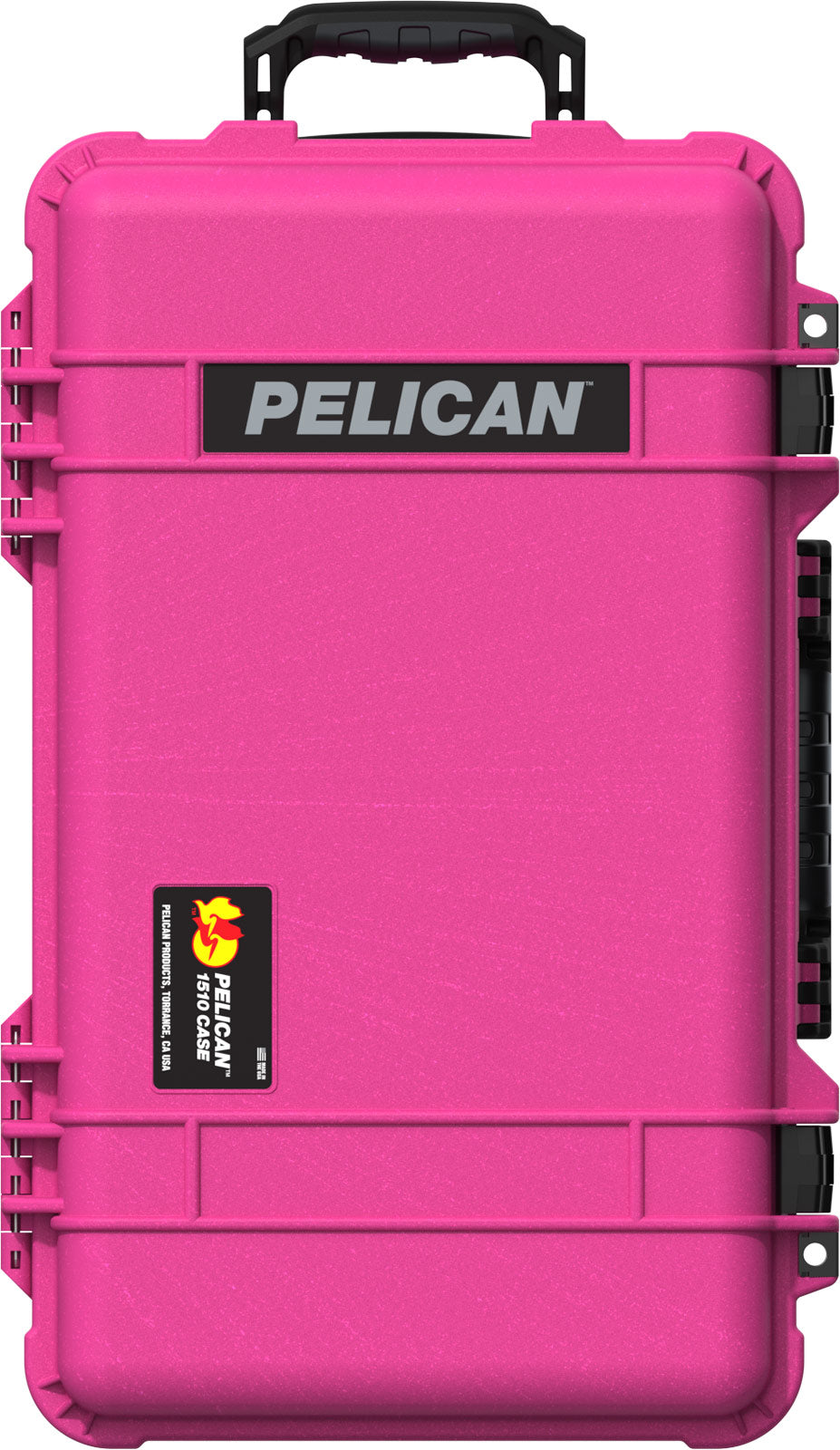 1510P Protector Case
