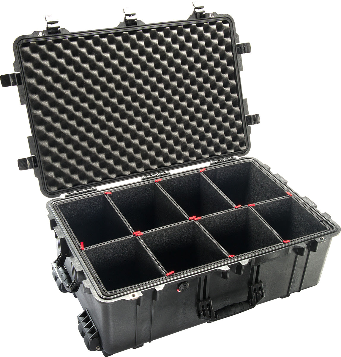 1650 Protector Case