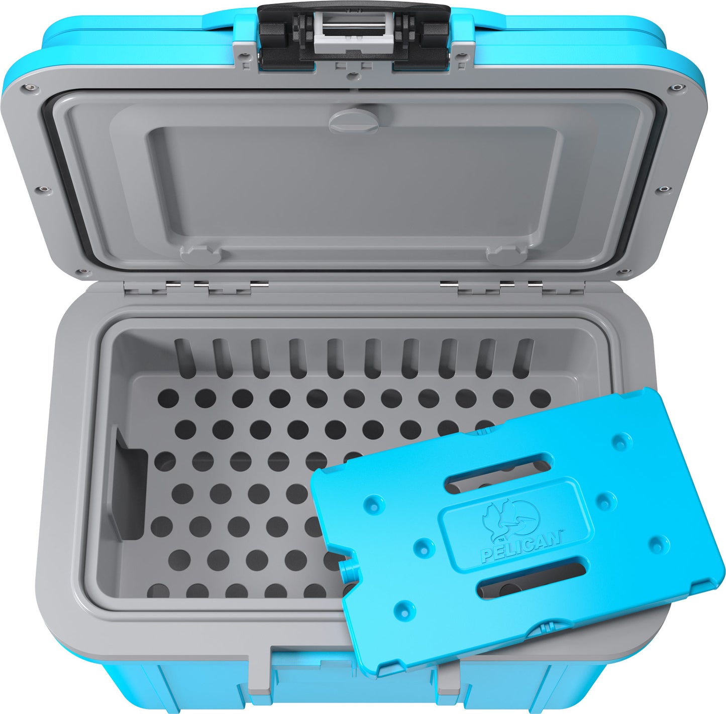 8QT  Personal Cooler