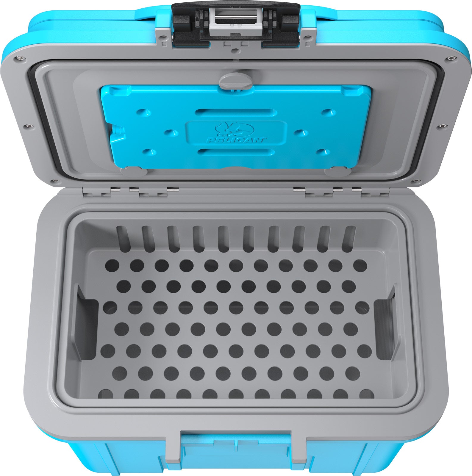 8QT  Personal Cooler
