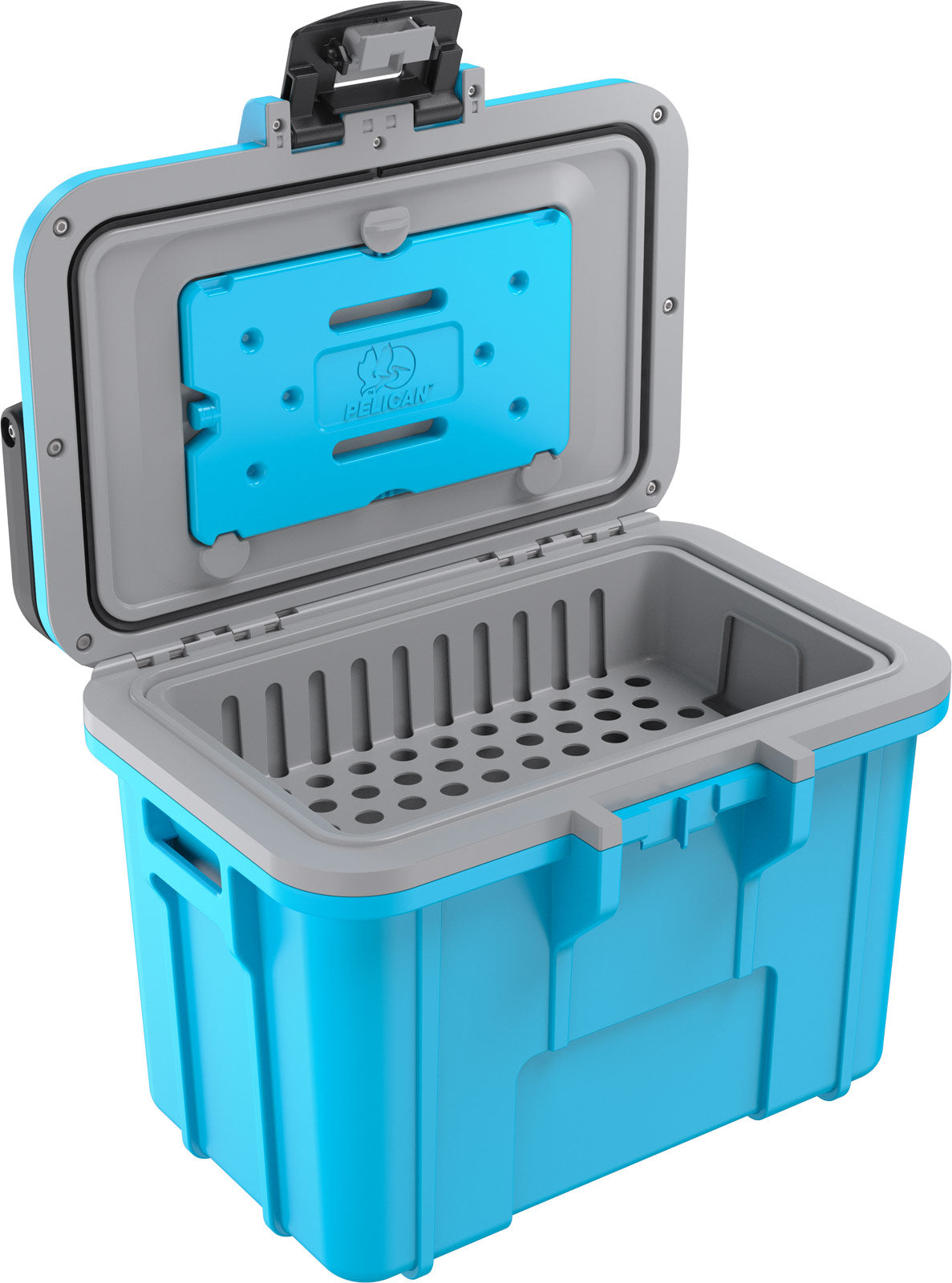 8QT  Personal Cooler