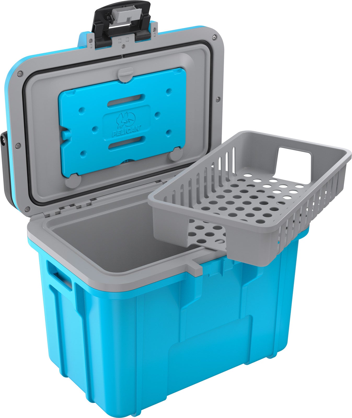 8QT  Personal Cooler