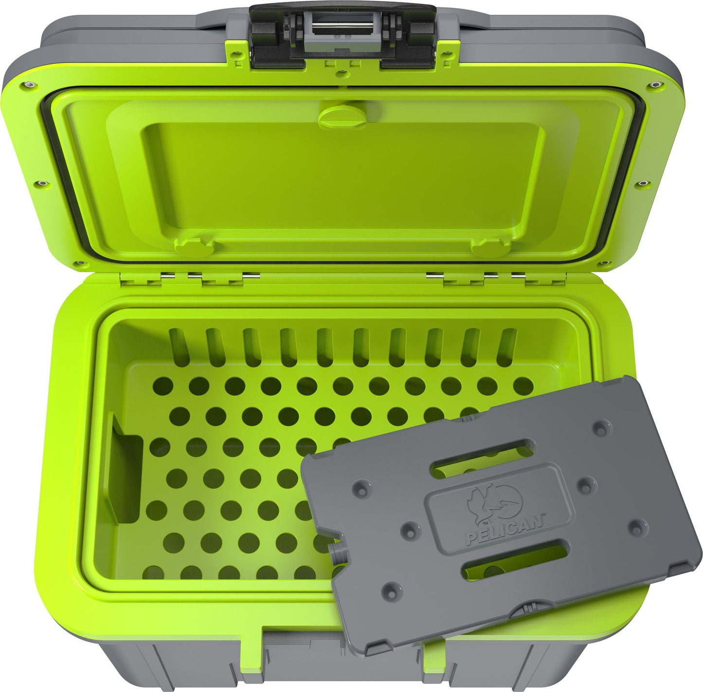 8QT  Personal Cooler