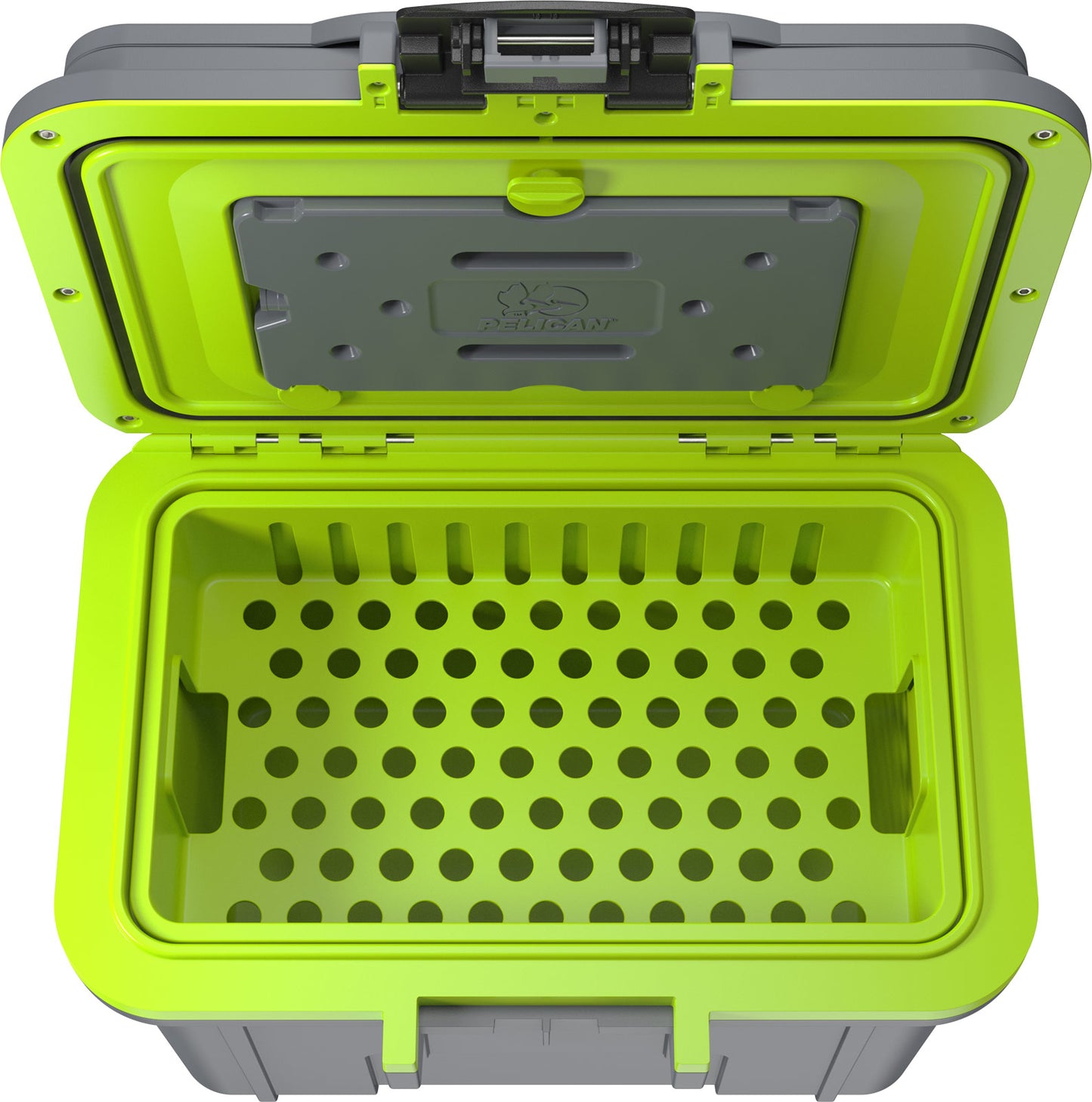 8QT  Personal Cooler