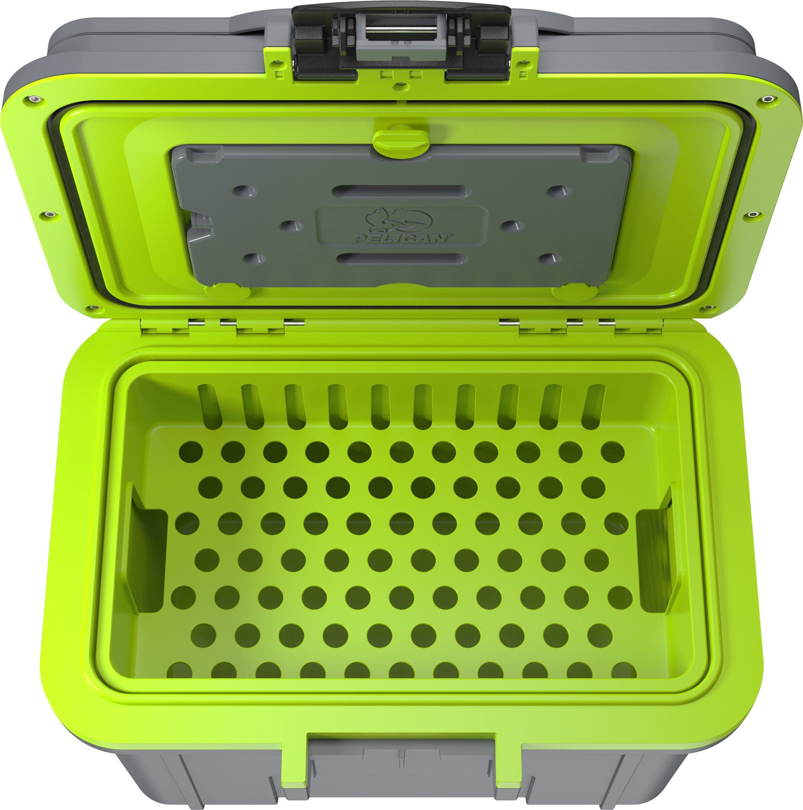 8QT  Personal Cooler