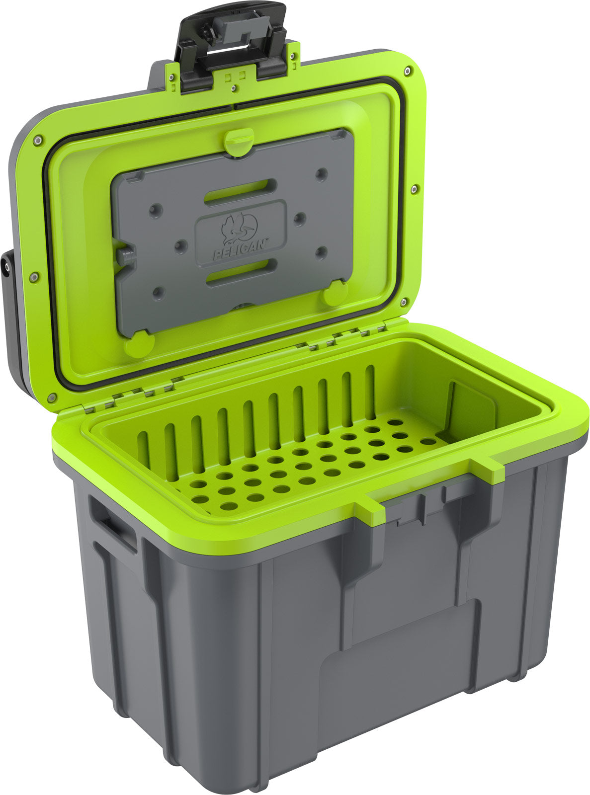 8QT  Personal Cooler