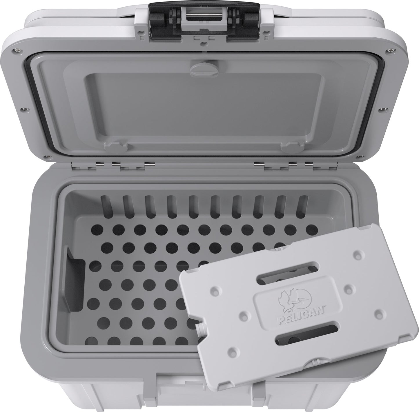 8QT  Personal Cooler