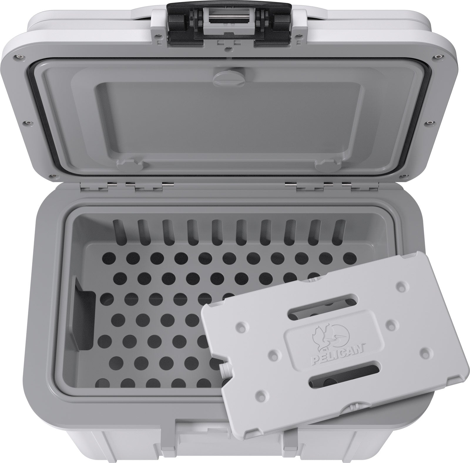 8QT  Personal Cooler