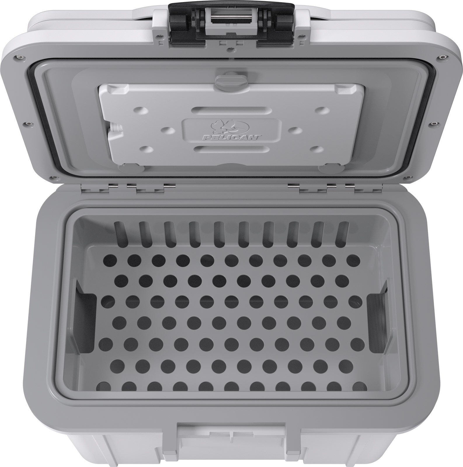 8QT  Personal Cooler