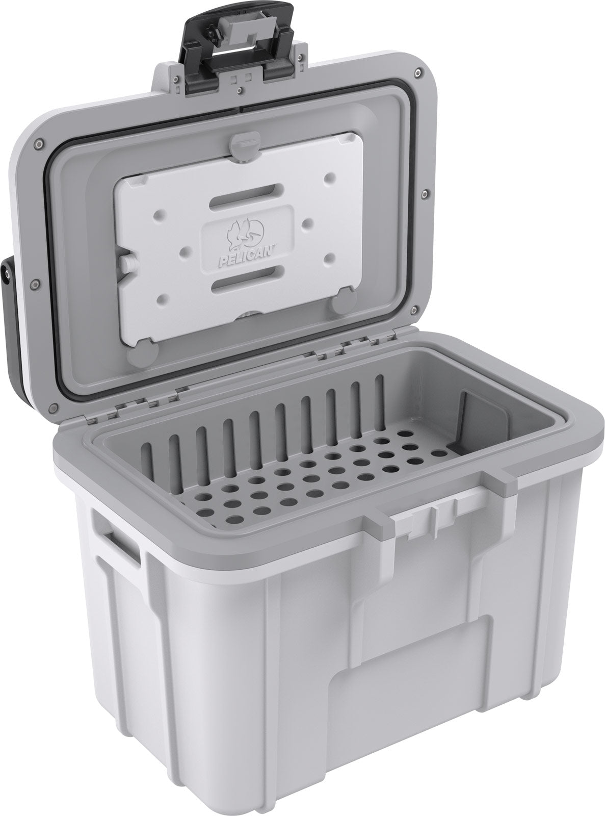 8QT  Personal Cooler