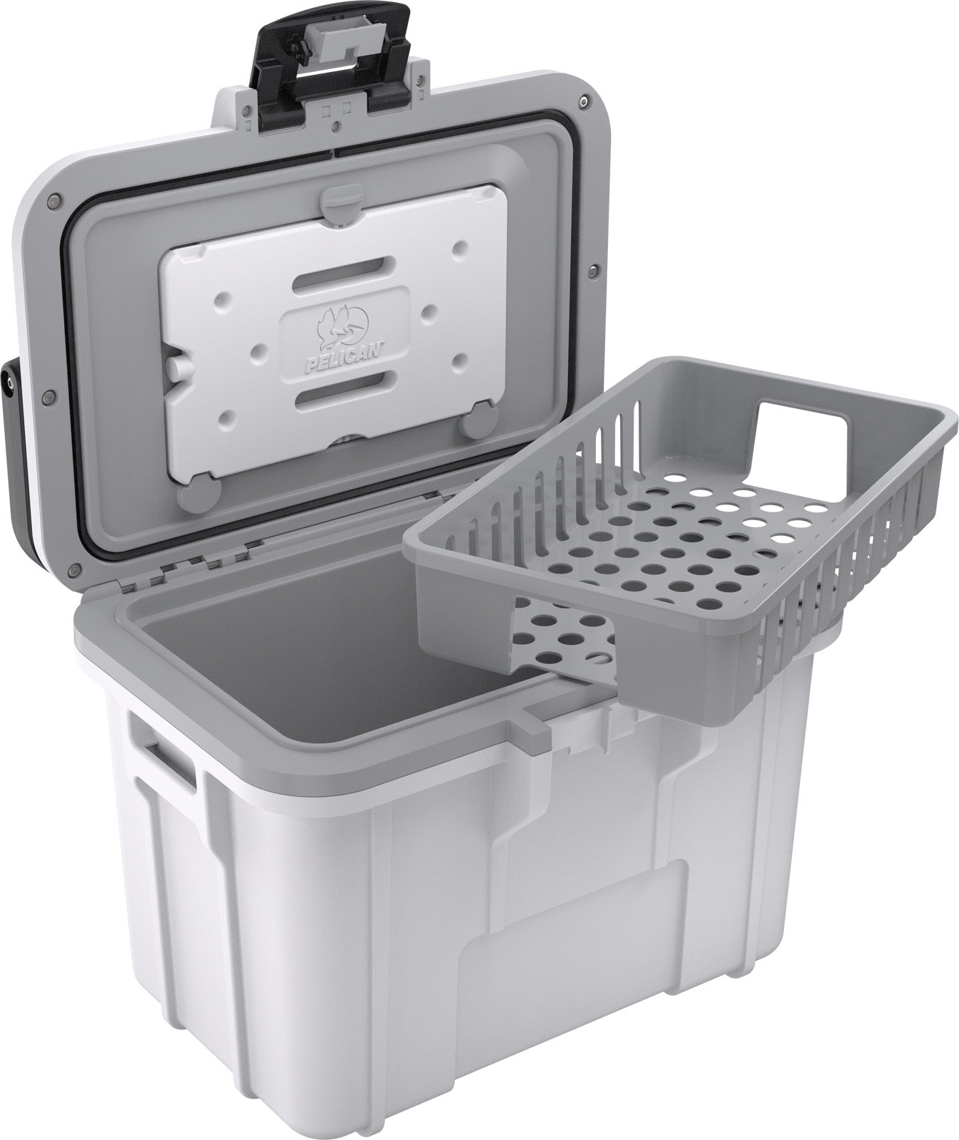 8QT  Personal Cooler