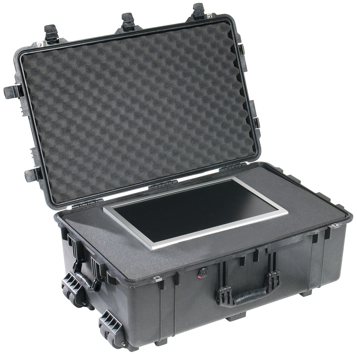 1650 Protector Case