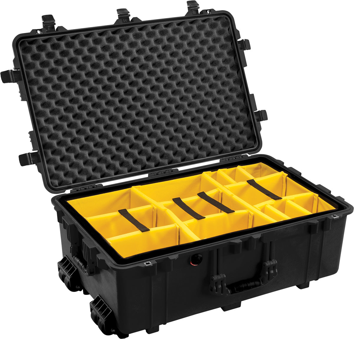 1650 Protector Case